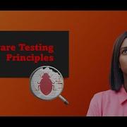 The Seven Principles Of Software Testing
