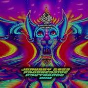 January 2023 Progressive Psytrance DJ Mix
