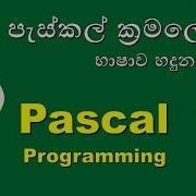Pascal Programming Sinhala 1