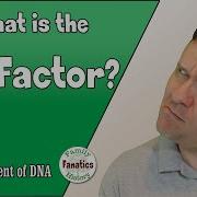 What Is The Rh Factor In DNA Genetic Genealogy Explained