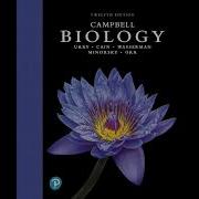 Control Of Gene Expression In Prokaryotes And Eukaryotes Chapter 18 Campbell Biology