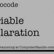 Pseudocode Variable Declaration