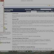 Selenium IDE Test Suite Building Execution