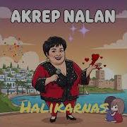 Akrep Nalan Halikarnas Upbeat 1960s French Yé Yé Pop Style Lovesong Türkçepop Aicover