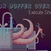 Basic Linux BufferOverflow Execute Shell Code