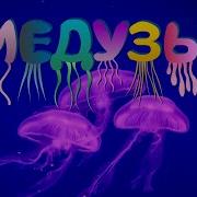 Медузы Познавательное видео про медуз Удивительный мир беспозвоночных