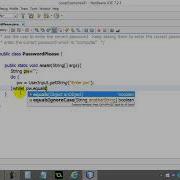AP Computer Science 022 Loops Example Password Please