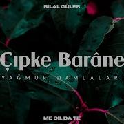 Çipke Barâne Bilal Güler