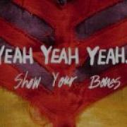Yeah Yeah Yeahs Warrior