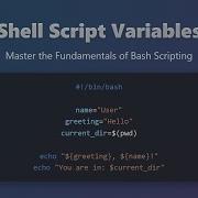 Shell Scripting For Beginners Mastering Variables