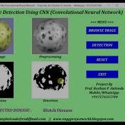 Python Code For Fruit Disease Detection Using CNN Convolutional Neural Network With Source Code