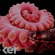The Age Of Soft Robots Is Coming Here S How They Work