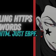 How Attackers See HTTPS Data Before TLS Encryption