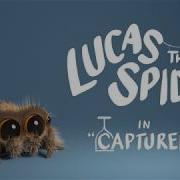 Lucas The Spider Captured Short