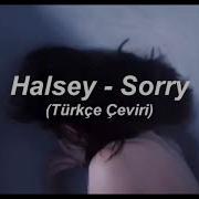 Halsey Sorry Türkçe çeviri Lyrics