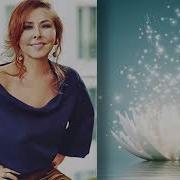 Unut Gitsin Nilüfer