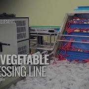 Root Vegetable Processing Potato Washing Line Potato Washer Carrot Washer Carrot Processing Line