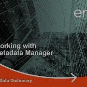 Metadata Manager Downloading Data Dictionary V12