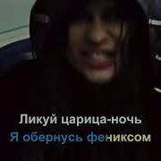 BEARWOLF Феникс караоке
