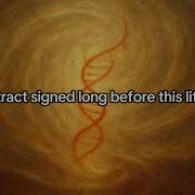 Red String Theory The Invisible Thread Connecting Souls