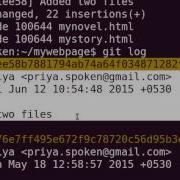 The Git Checkout Command English
