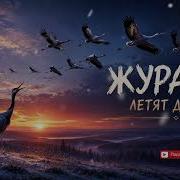 Бока Далеко далеко журавли улетели COVER AI 2026