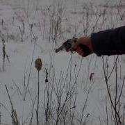 Antique Colt 1892 In 38 Spl