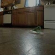 3D Printed Hovercraft