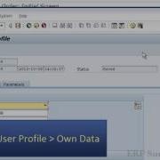 Setting Up Defaults In SAP