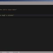 String Delimiters In Ruby Tekniqal Com