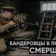 БАНДЕРОВЦЫ ВЫРЕЗАЛИ СЕЛЬСОВЕТ И УШЛИ В СХРОН облава СМЕРШ на Волыни 1944