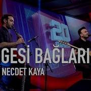 Necdet Kaya Gesi Bağları Akustik