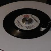 The Beau Brummels Laugh Laugh Mono 45RPM
