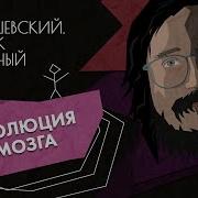 Эволюция мозга Дробышевский Человек разумный