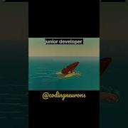 Junior Developer V S Senior Developer Coding Codingneurons Codingmemes Developer