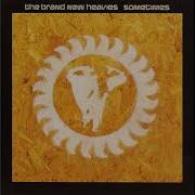 The Brand New Heavies Sometimes Radio Edit