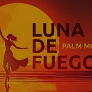 Palm Monkey Luna De Fuego Official Lyrics Video