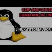 Gzip And Gunzip Command In Linux