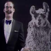 Monty Python Llamas