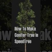 How To Make Conifer Tree In Speed Tree Vegetation And Games Speedtree Environmentdesign