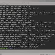 Linux Mint Shell Scripting Untuk Pemula Part 4