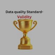 Data Quality Standard Validity