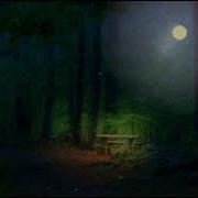 Fireflies Javascript Animation