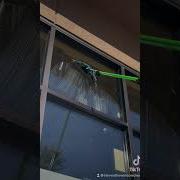 Storefront Window Cleaning With The Moerman Excelerator And Ettore Brass Channel