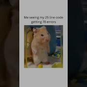 When Your Code Is Full Of Errors Coding Memes Viralshorts