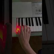 Casio LK 280 Diatonic Scale Piano Casio Shorts