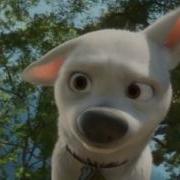 Bolt Dog Face HD Best Quality
