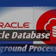 Oracle Database Background Processes In Detail