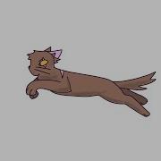 Cat Running Cycle Procreate