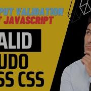 Invalid CSS Pseduo Class Show Validation Error To Input Tags